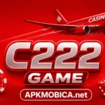C222 Game